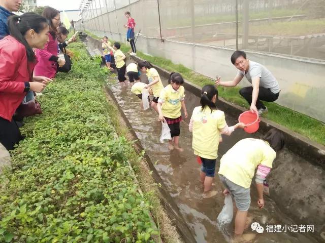 【圍觀】福建小記者走進(jìn)農(nóng)場(chǎng)體驗(yàn)農(nóng)耕樂趣