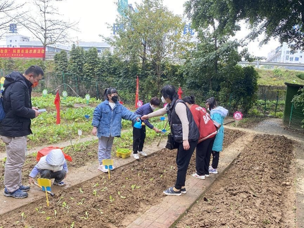 “小種植 大收獲”志愿科普農(nóng)場種植體驗活動簡報