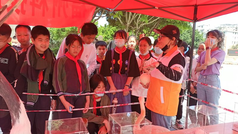 福州動物園參加科普進(jìn)校園系列活動(金山中學(xué)) 福州動物園參加科普進(jìn)校園系列活動(金山中學(xué))
