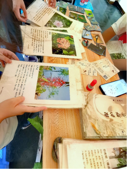“喜迎二十大，科普向未來”2022年全國科普日活動——推動野生動植物，推進(jìn)生態(tài)文明建設(shè)