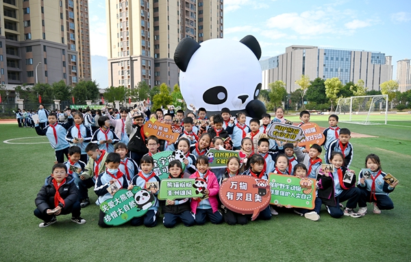 探索大熊貓的奧秘：福州科技館大熊貓分館科普活動走進(jìn)高新區(qū)實驗小學(xué)