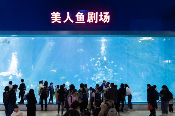 2023年福州科技館分館游學(xué)系列活動暨3.3“世界野生動植物日——野生動植物保護(hù)伙伴關(guān)系之中華白海豚傘護(hù)效應(yīng)”活動簡報(bào)